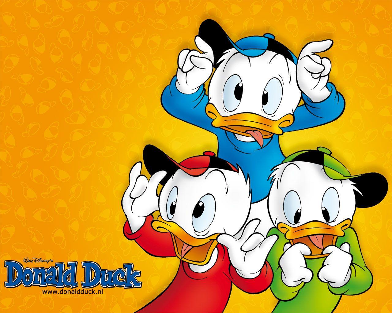 Donald Duck HD Wallpaper 26197