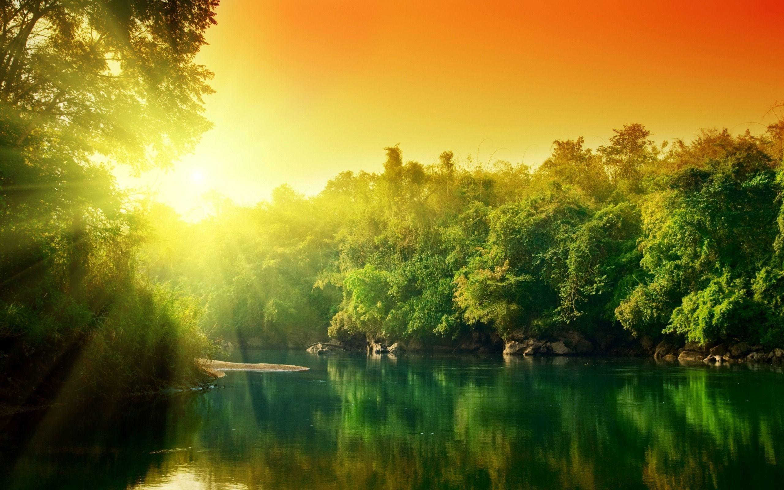 Amazon Rainforest Wallpaper background picture