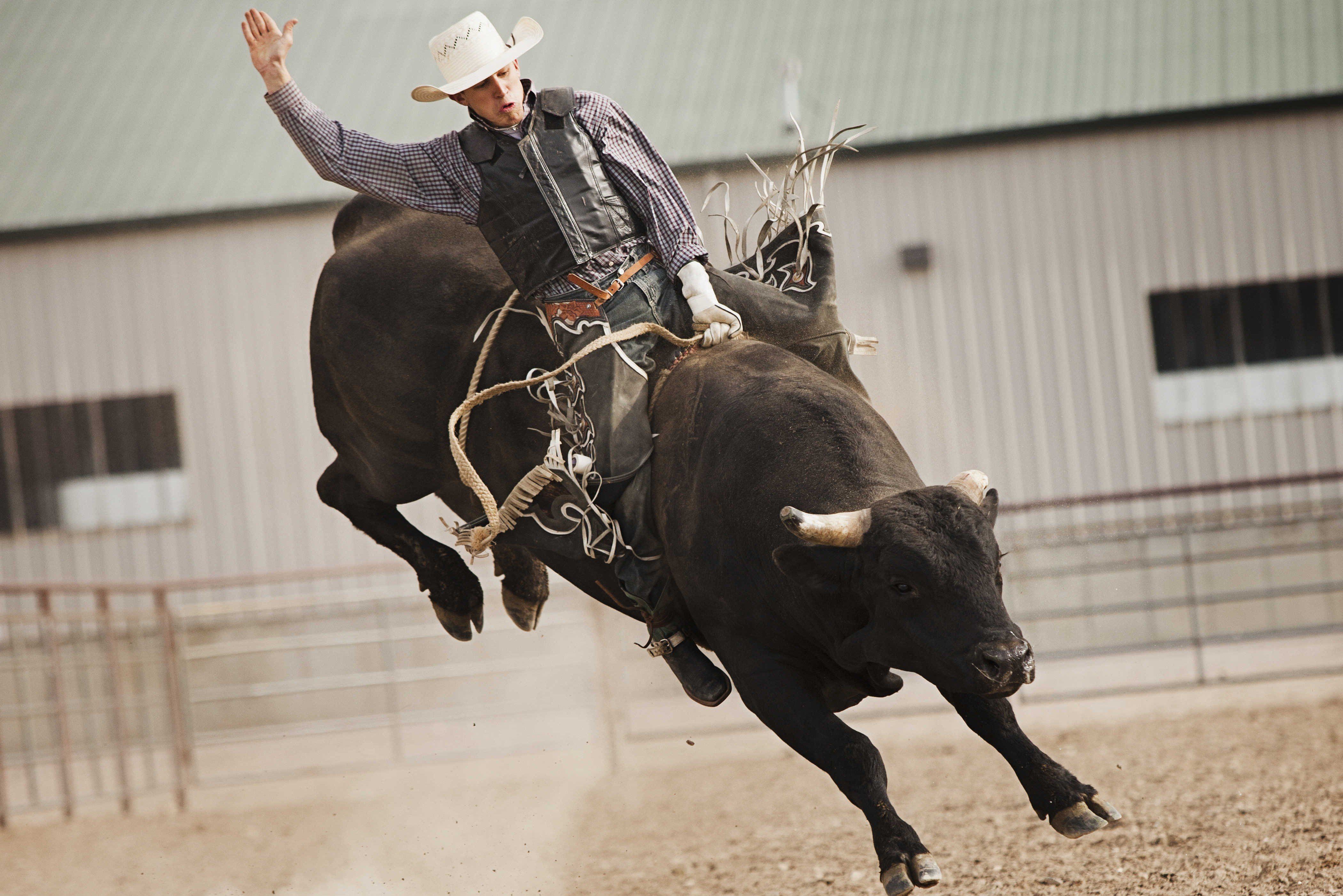 BULL RIDING bullrider cowboy western cow extreme rodeo d wallpaper