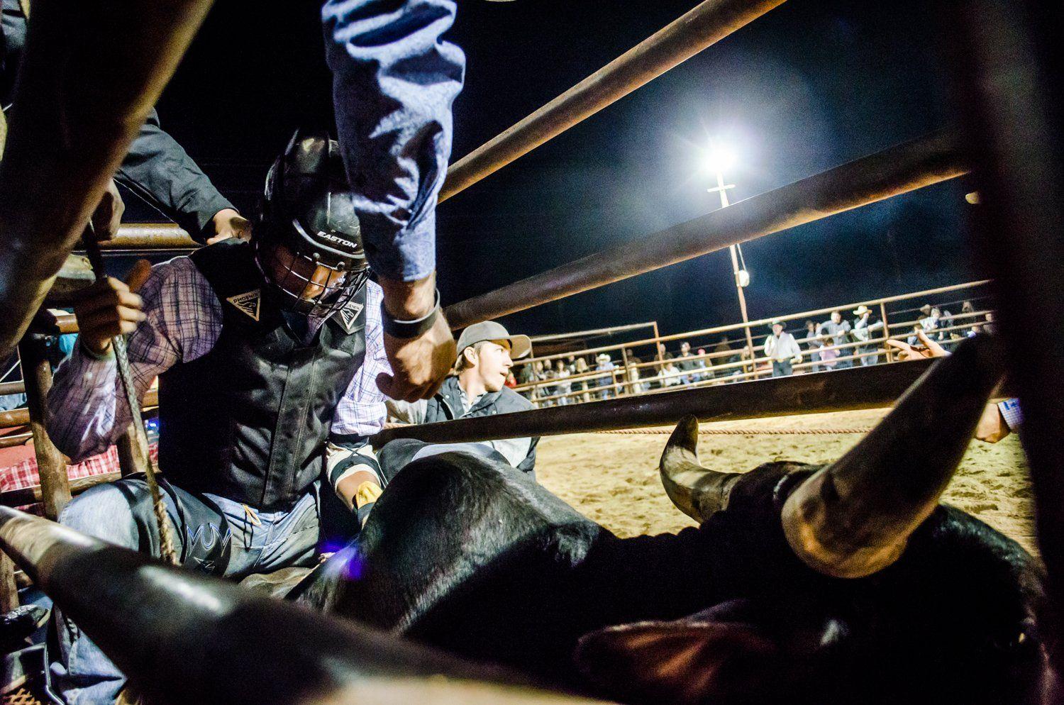 BULL RIDING bullrider cowboy western cow extreme bull rodeo