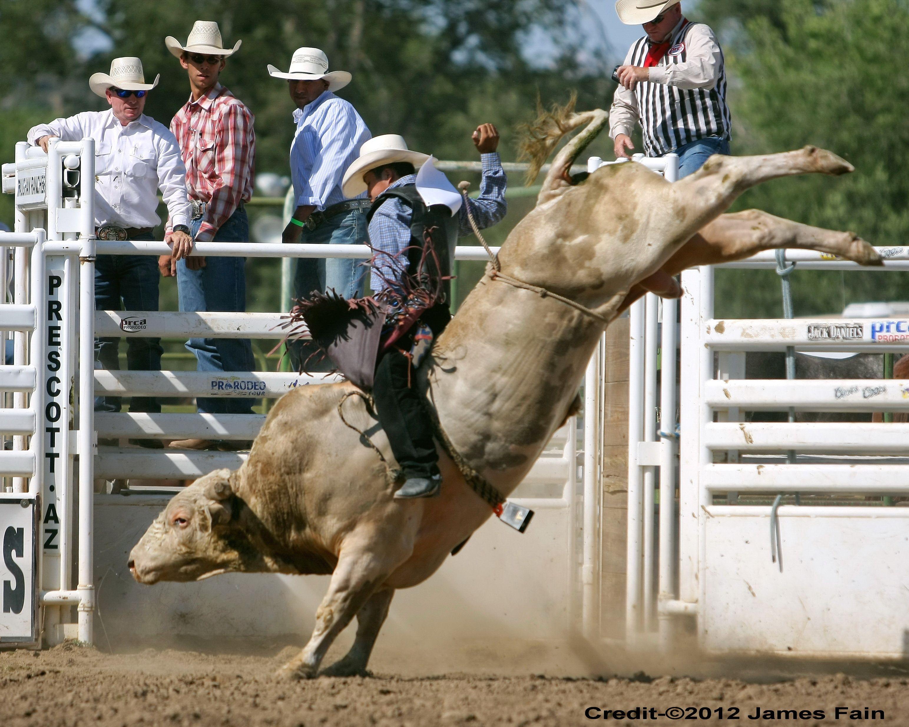 Bull Riding Wallpaper Free Labzada Wallpaper