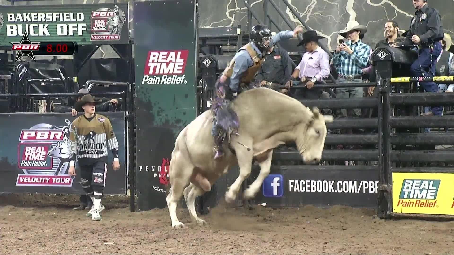 Bull Riding Wallpaper