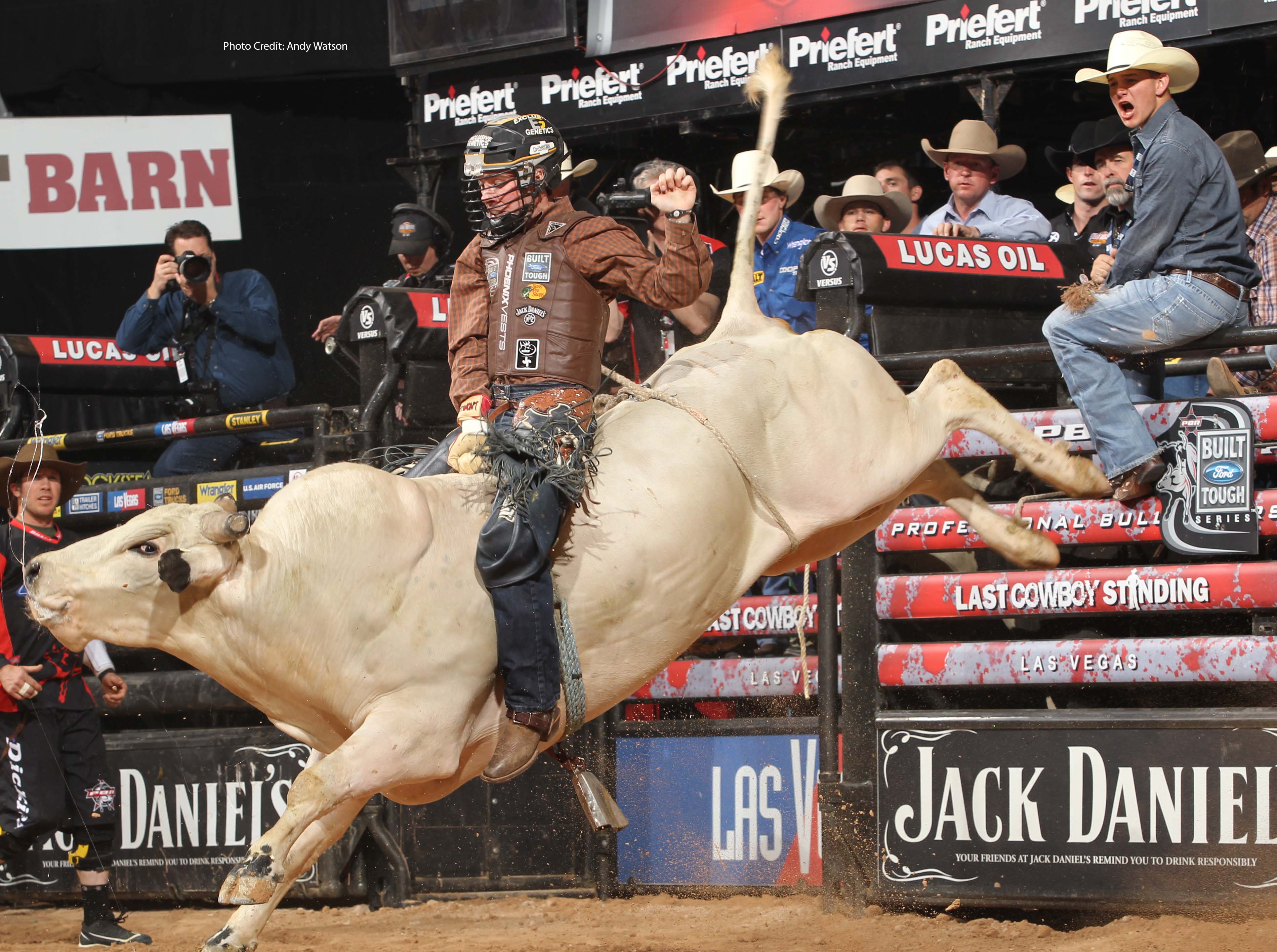 The Dangers and Training for Bull Riders