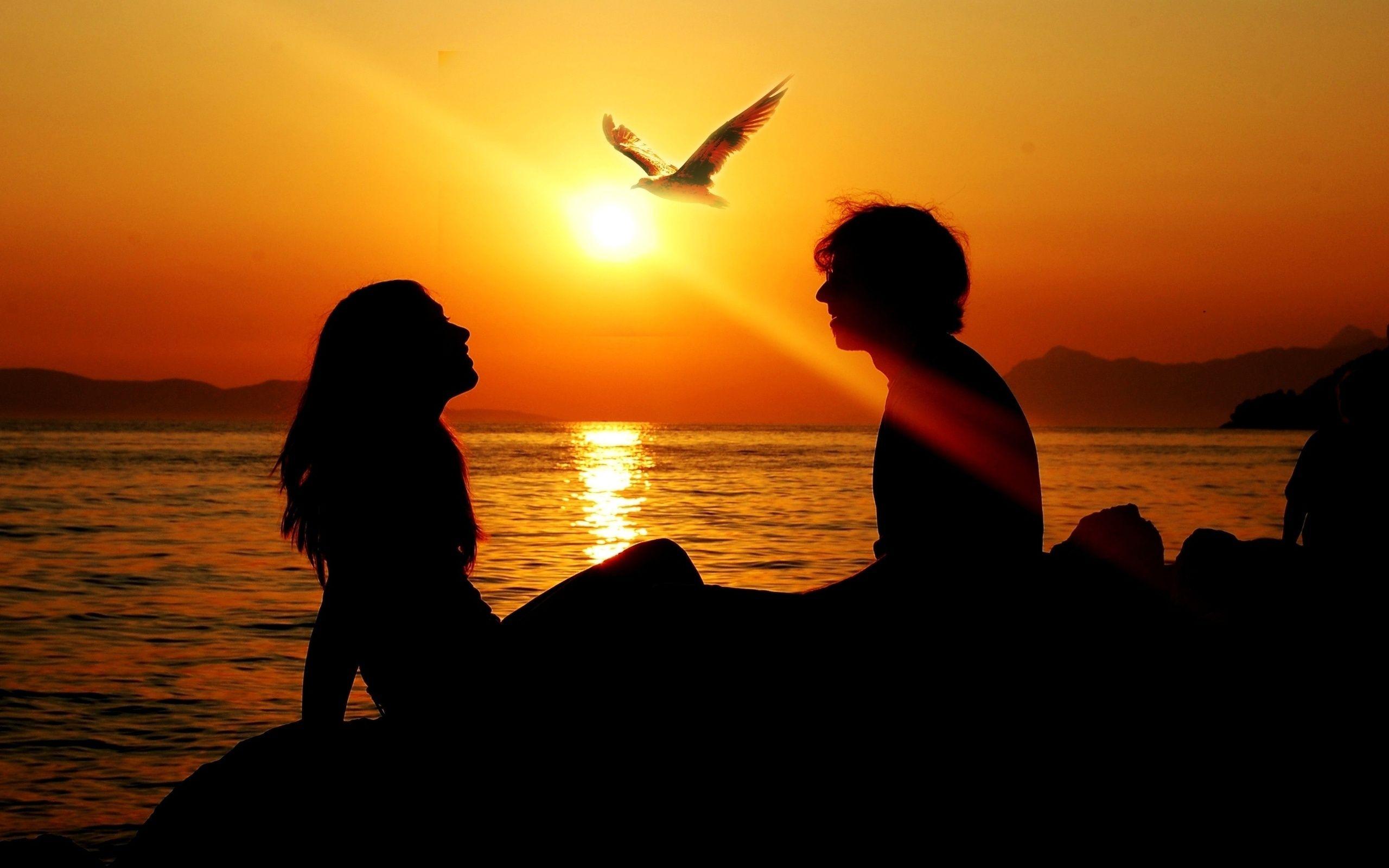 love, boy, sea, bird, sunset (2560x1600px)