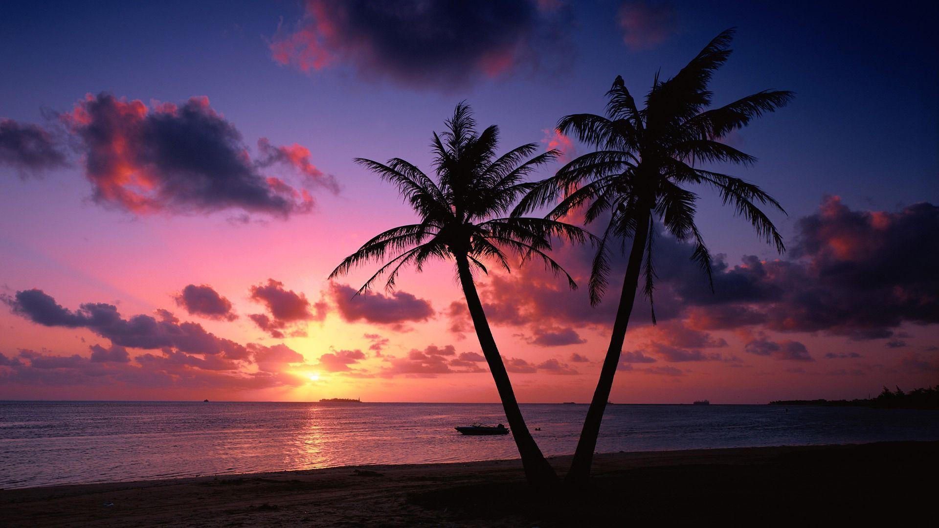 Sunset On A Tropical Beach HD Wallpaper Free HD Wallpaper