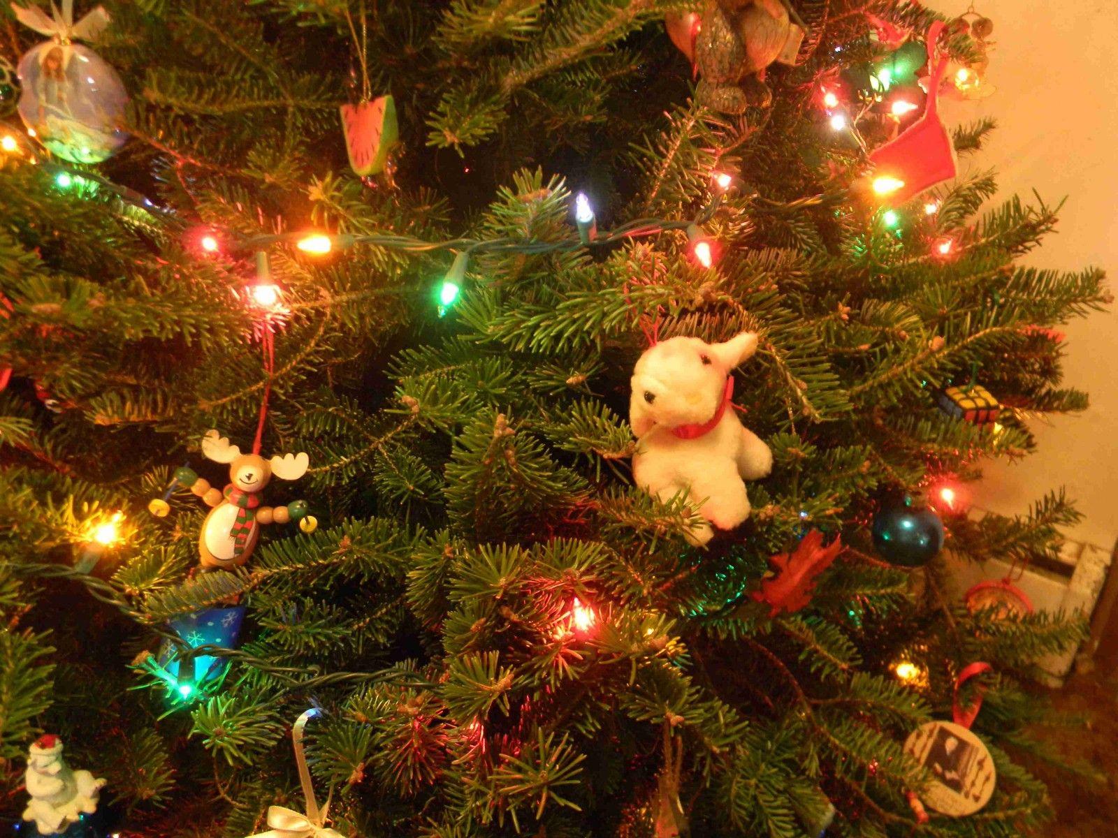 I'll Be Home For Christmas