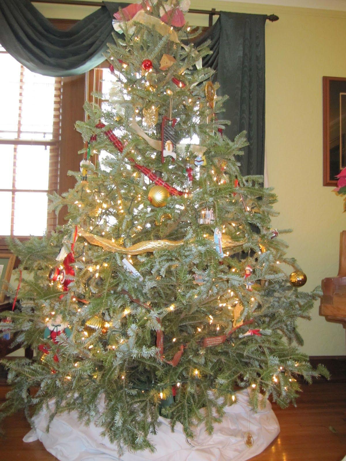 Seeking Claire Ity: I'll Be Home For Christmas.If Only In My Dreams