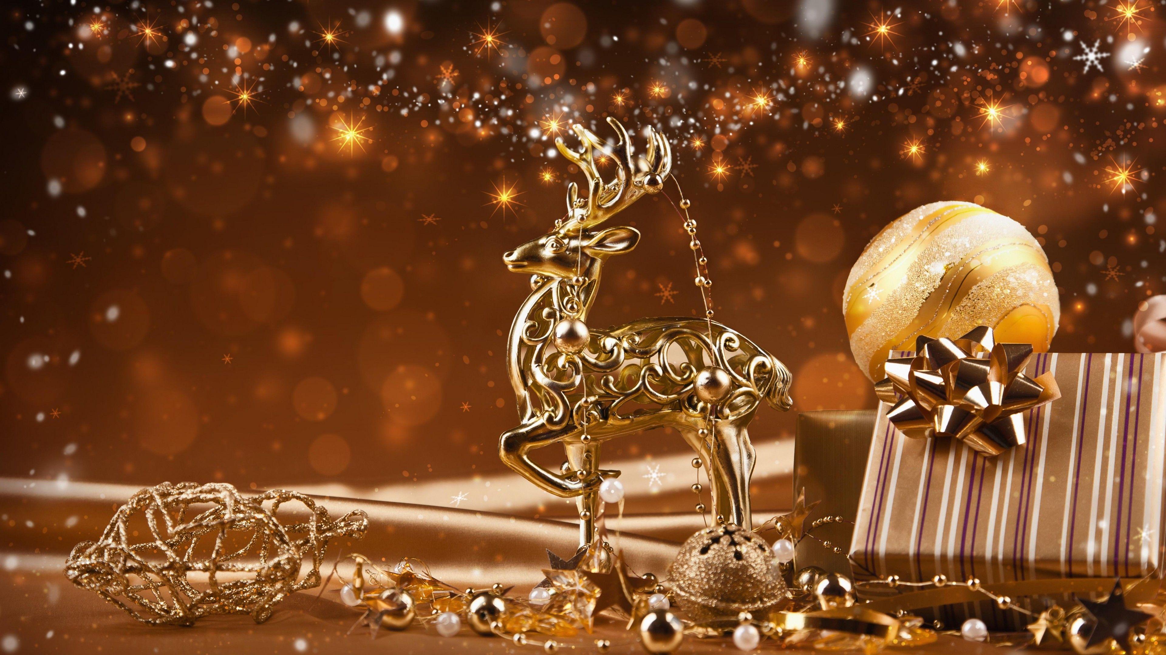 Golden Reindeer Christmas Decoration 4k Ultra HD Wallpaper