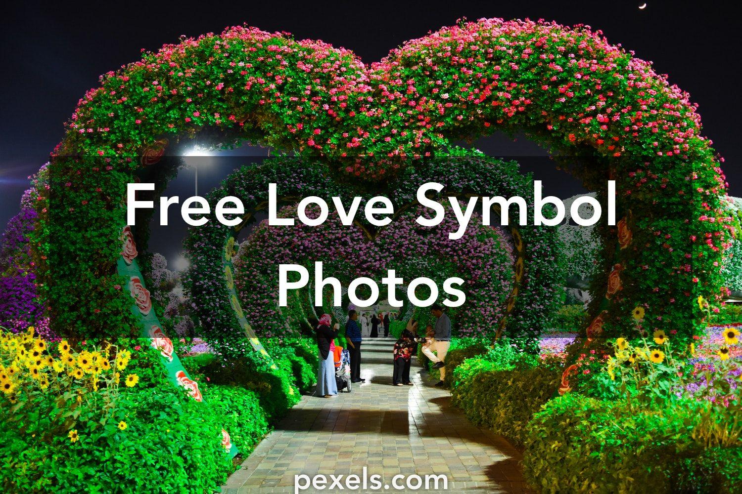 Great Love Symbol Photo