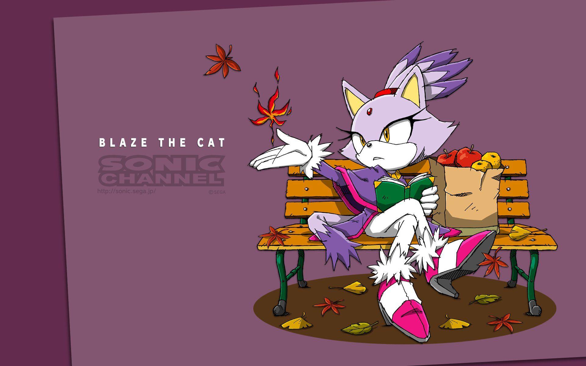 Blaze The Cat HD Wallpaper and Background Image