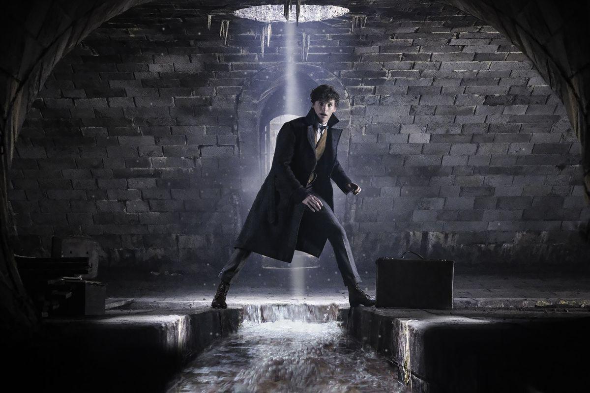 Young Dumbledore, Grindelwald star in new Fantastic Beasts sequel