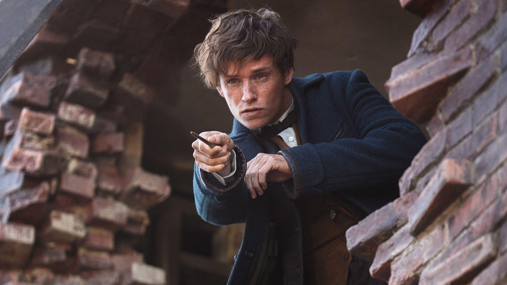 Review: FANTASTIC BEASTS AND WHERE TO FIND THEM Is a Symphony