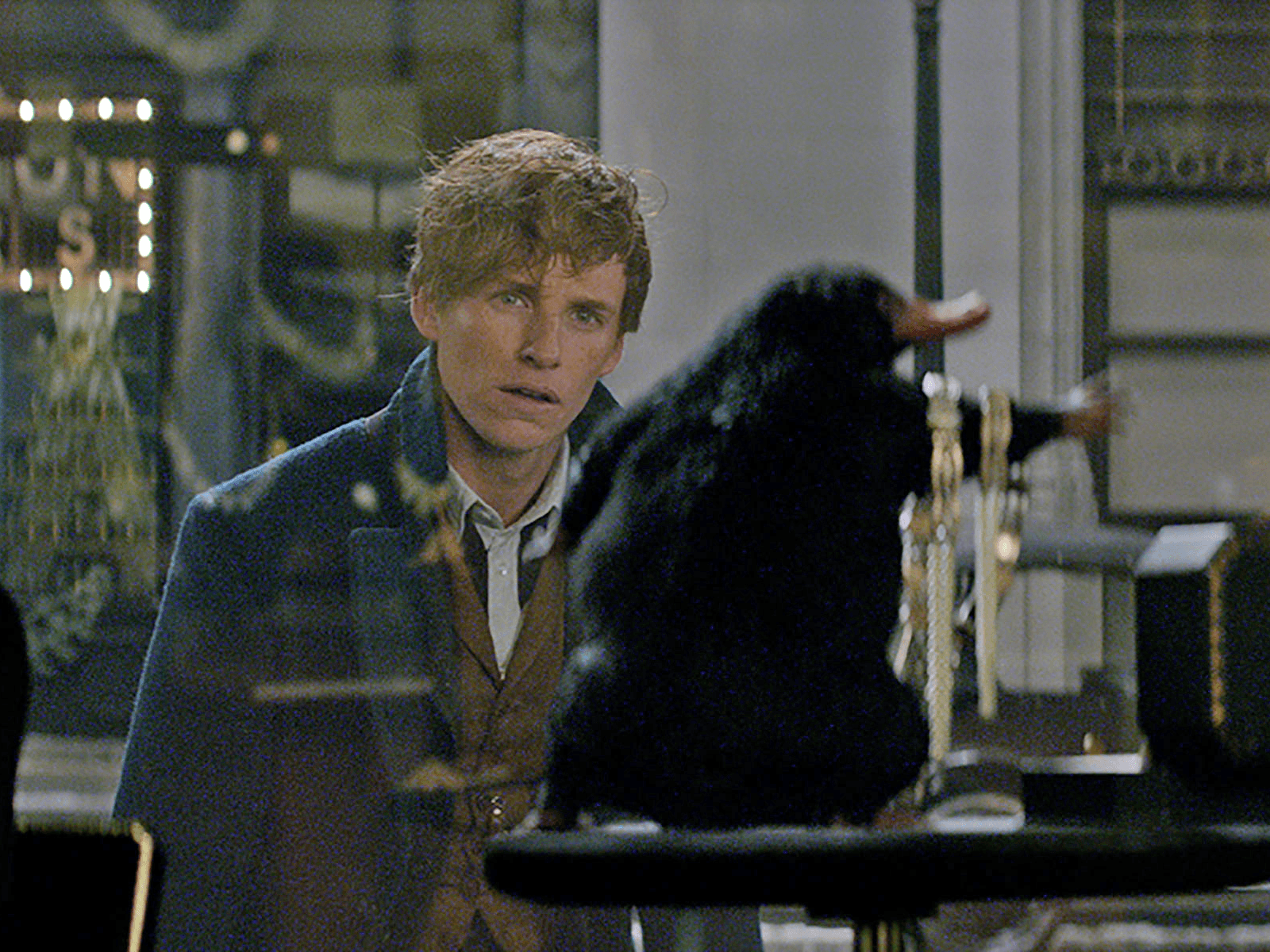 The Best Creature In The 'Harry Potter' Spin Off Is An Adorable
