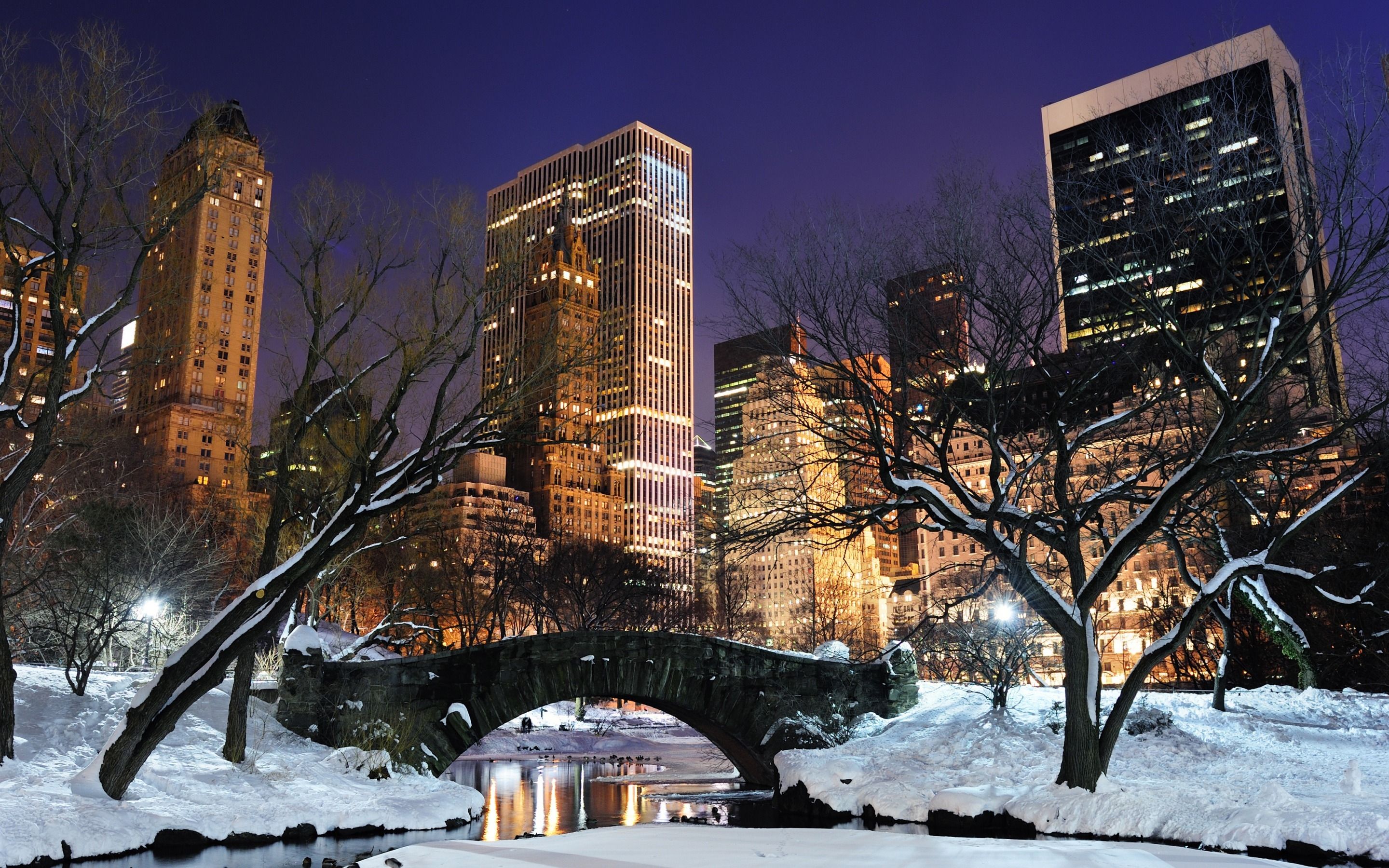 Wallpaper USA, New York, central park, city, bridge, winter, snow