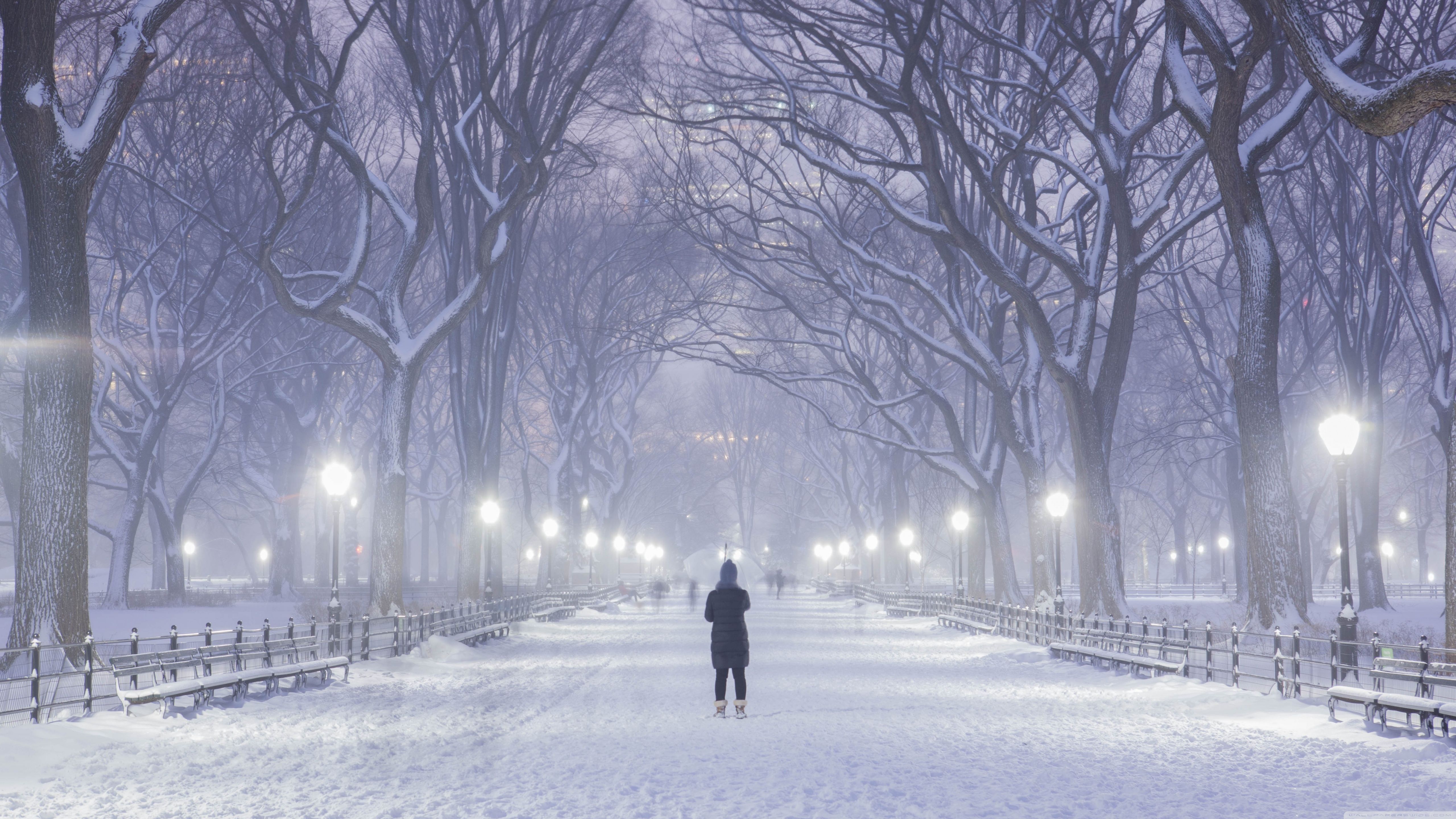 Central Park, New York City, Winter Background ❤ 4K HD Desktop