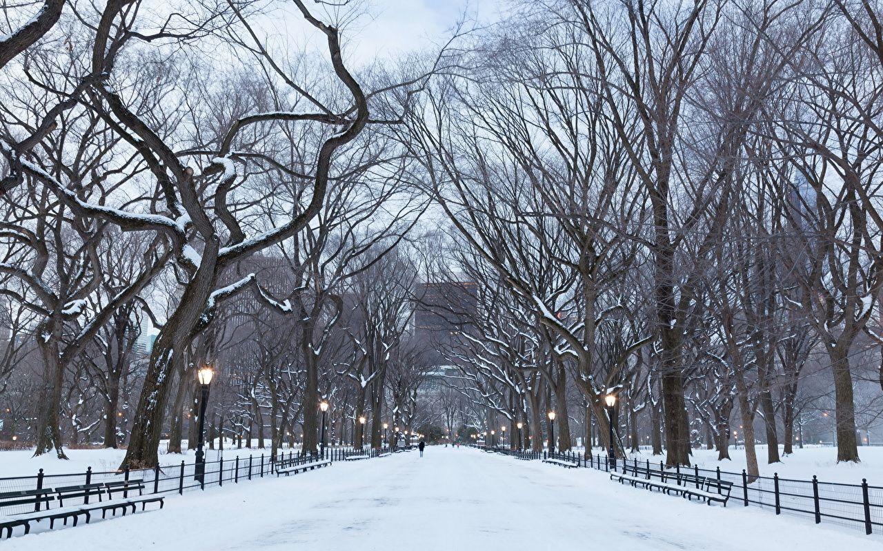 Wallpaper New York City USA manhattan central park Allee Winter