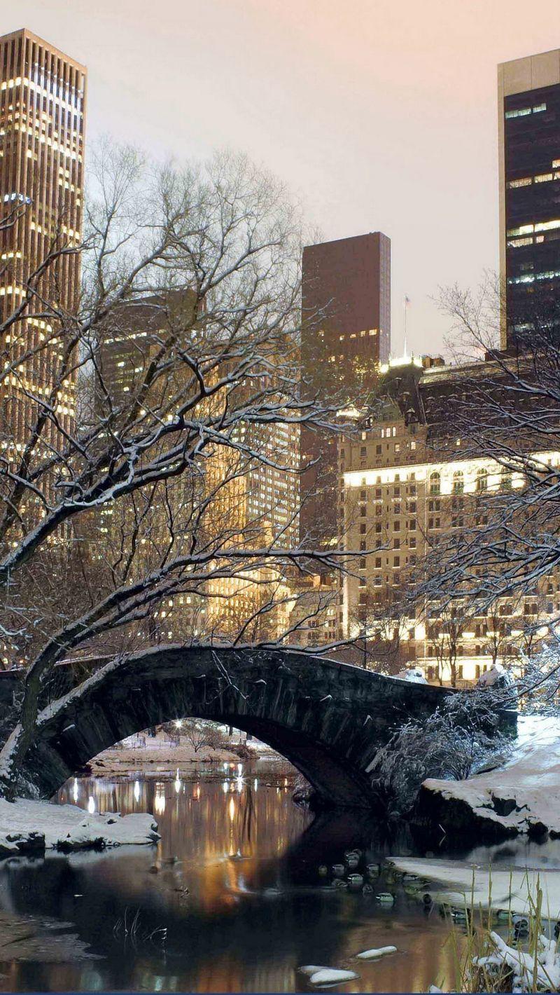 Download wallpaper 800x1420 winter, park, america, bridge, new york