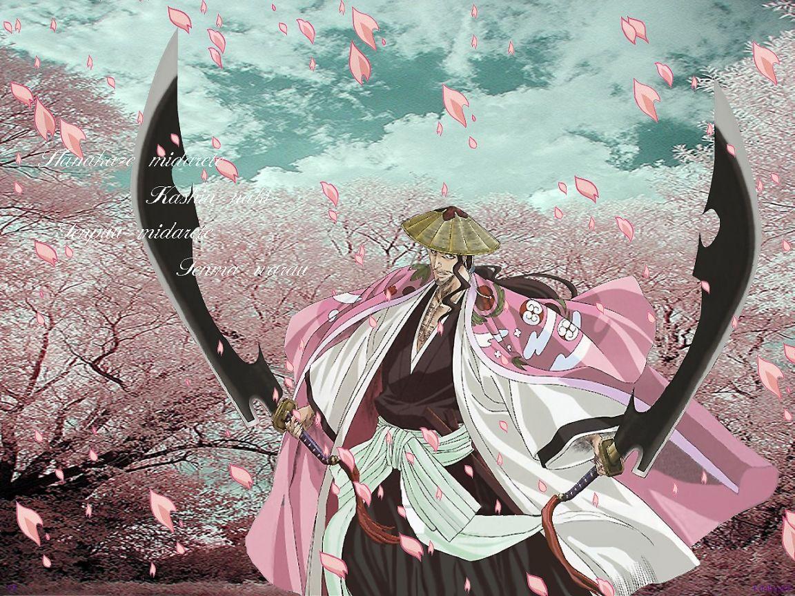Shunsui Kyoraku image *Shunsui Kyoraku* HD wallpaper and background