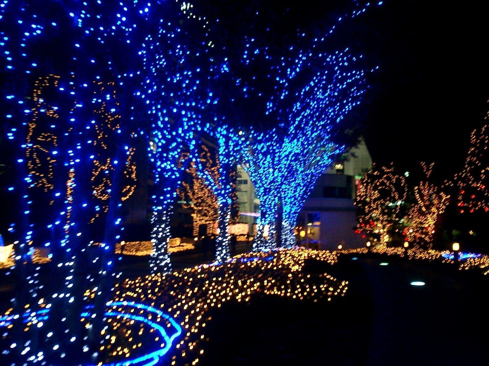 Bright Colors Wallpaper: Bright Christmas Lights. Blue christmas lights, White christmas lights, Outdoor led christmas lights