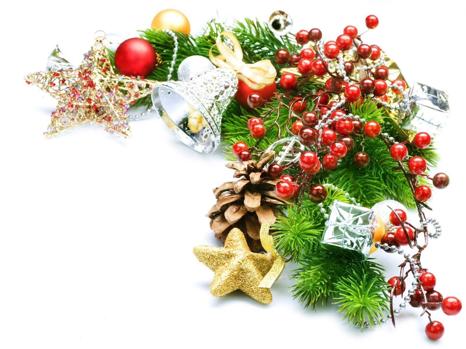 Decorated Christmas tree branch on Christmas wallpaper and image