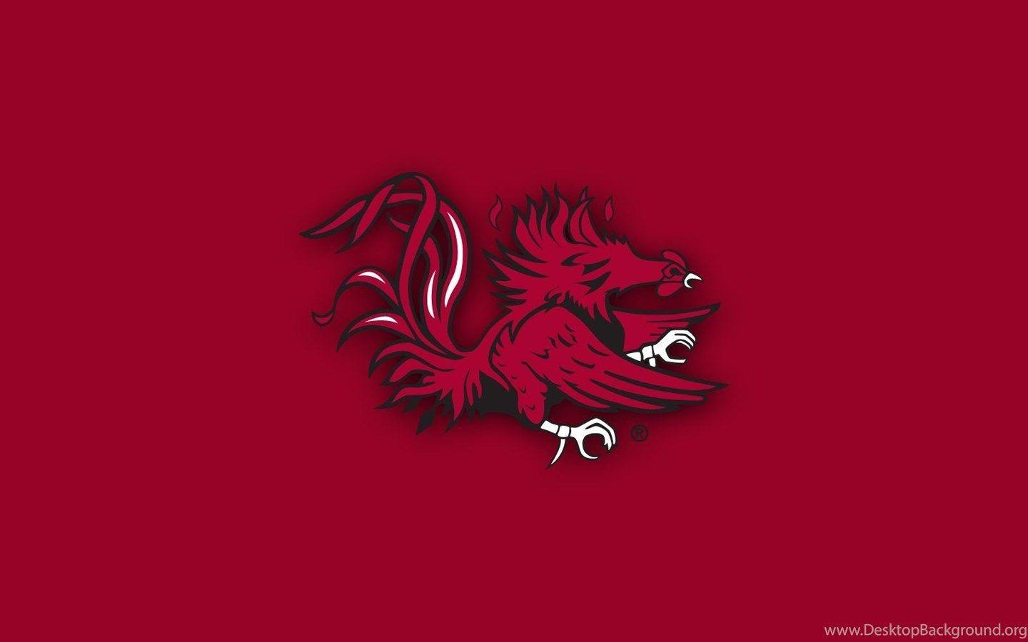 South Carolina Gamecocks Football Wallpapers - Wallpaper Cave