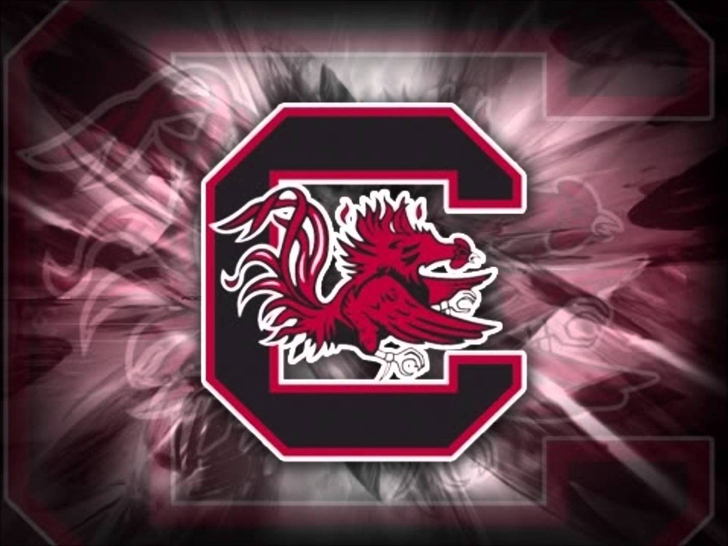 South Carolina Gamecocks Football Screensaver