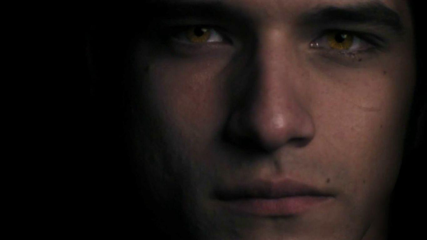 Teen lobo McCall lobo fotografia