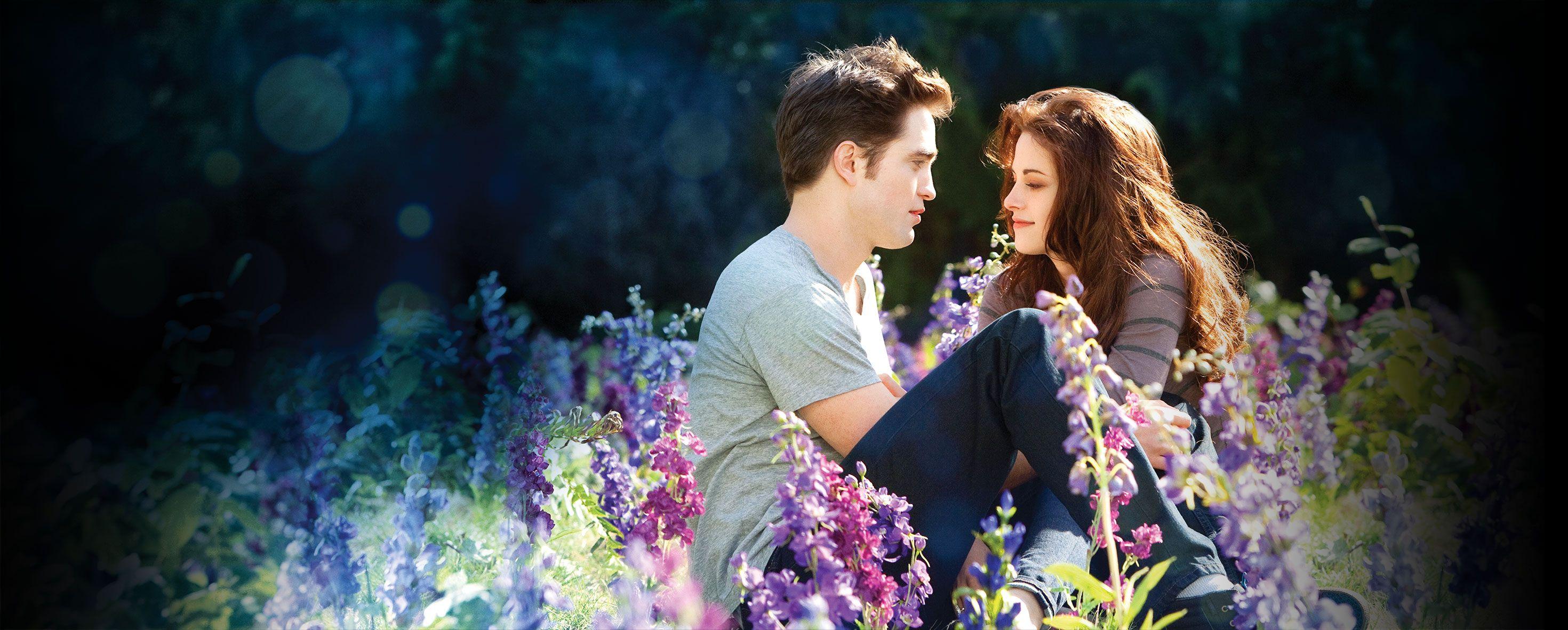 Twilight Bella and Edward. Lady Geek Girl and Friends
