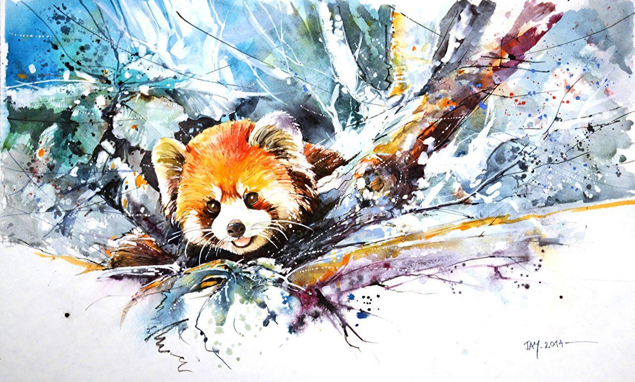 Picture Pandas Red panda Bears Animals Painting Art
