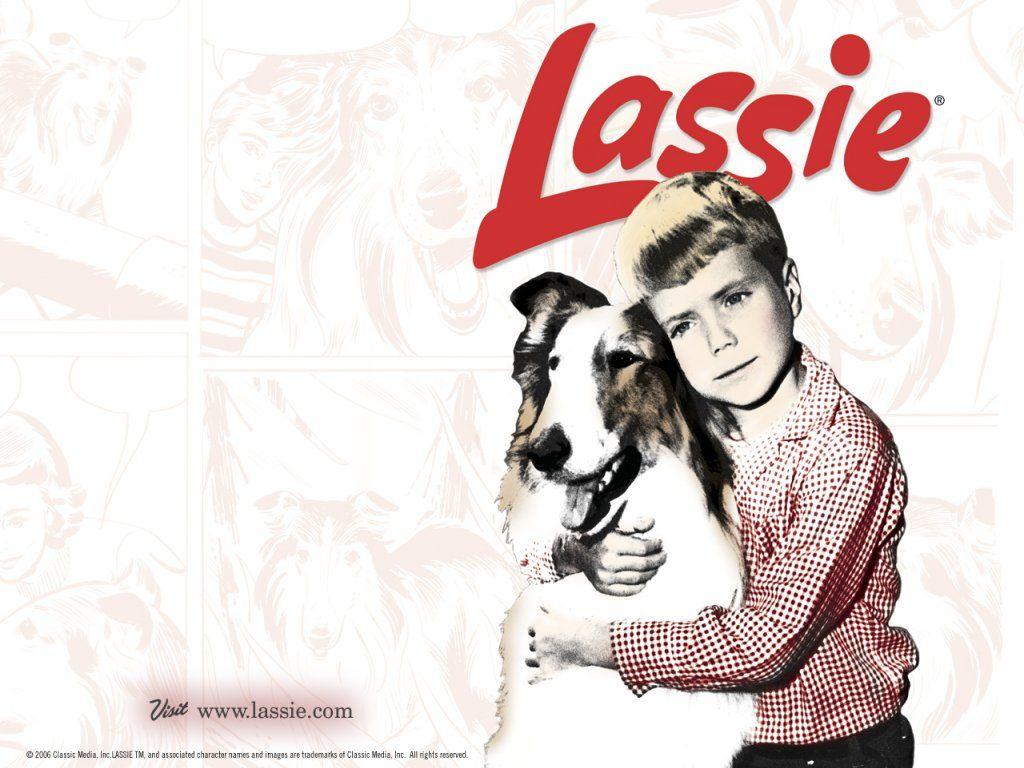 Classic Television Revisited image Lassie w'paper HD wallpaper