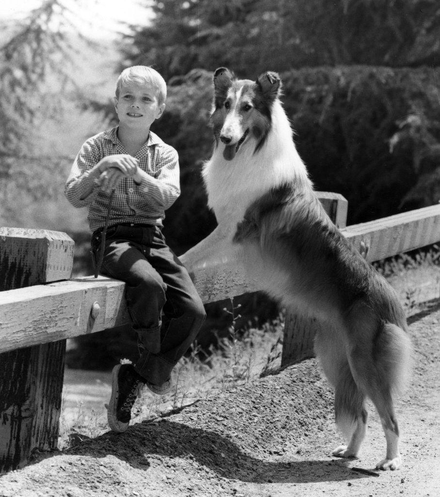 Timmy's in the well! Timmy and Lassie, from the old TV series