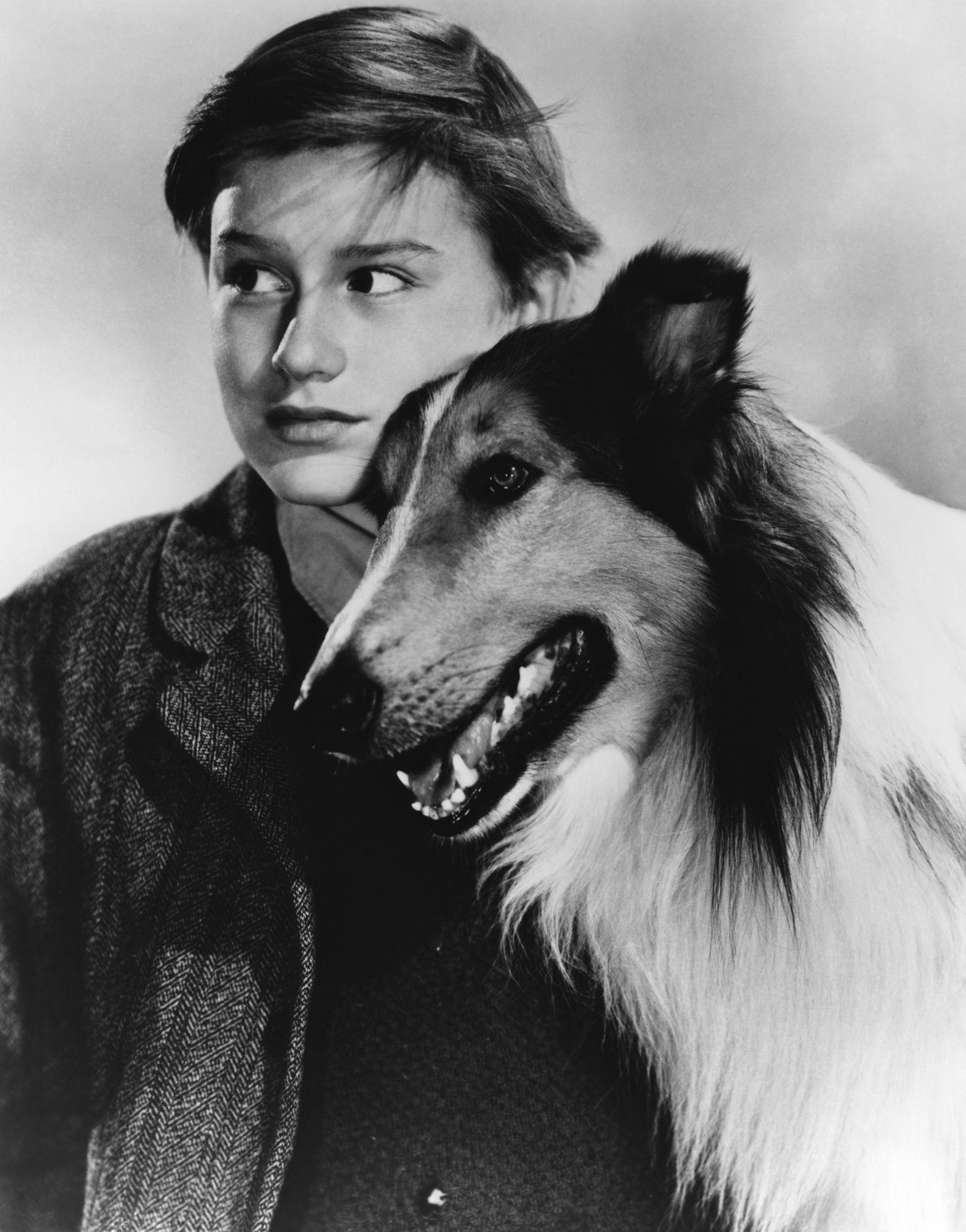 Roddy McDowall (Lassie Come Home) ║ #hollywood #stars #movies