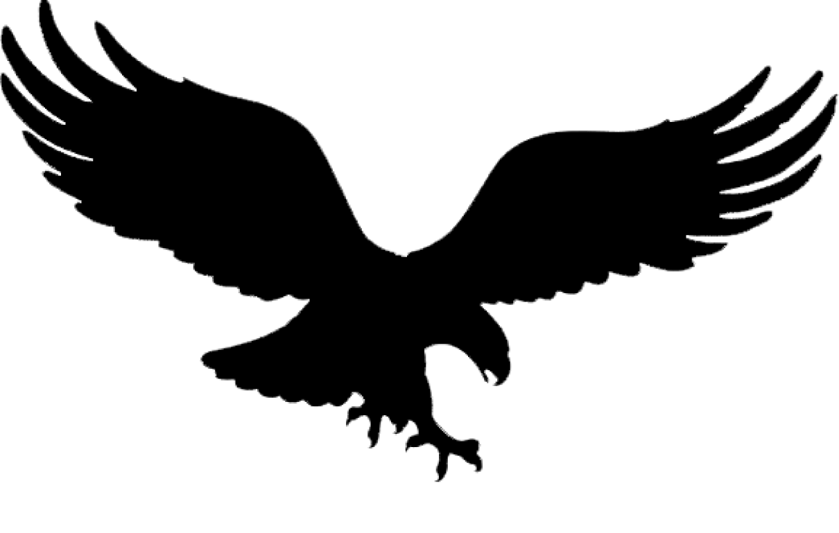 American Eagle Outfitters Logo Png