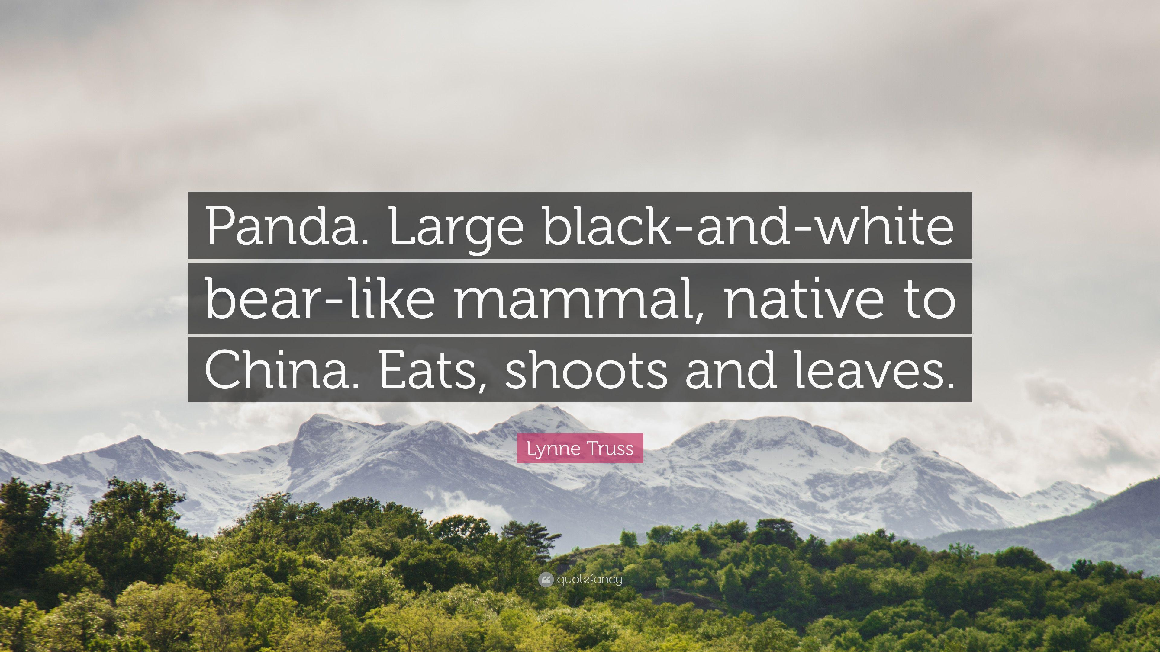 Lynne Truss Quote: “Panda. Large Black And White Bear Like Mammal