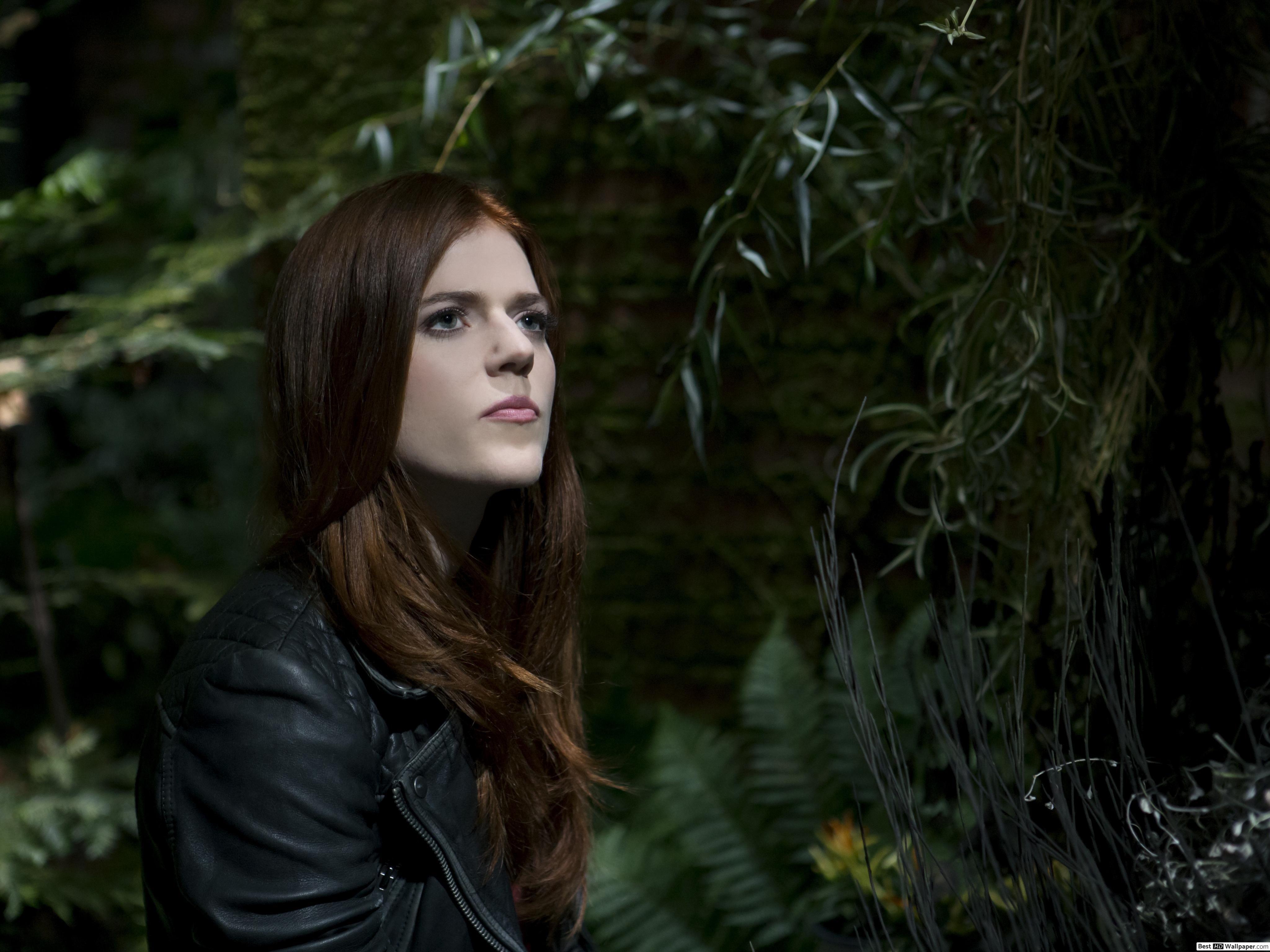 The Last Witch Hunter HD wallpaper download