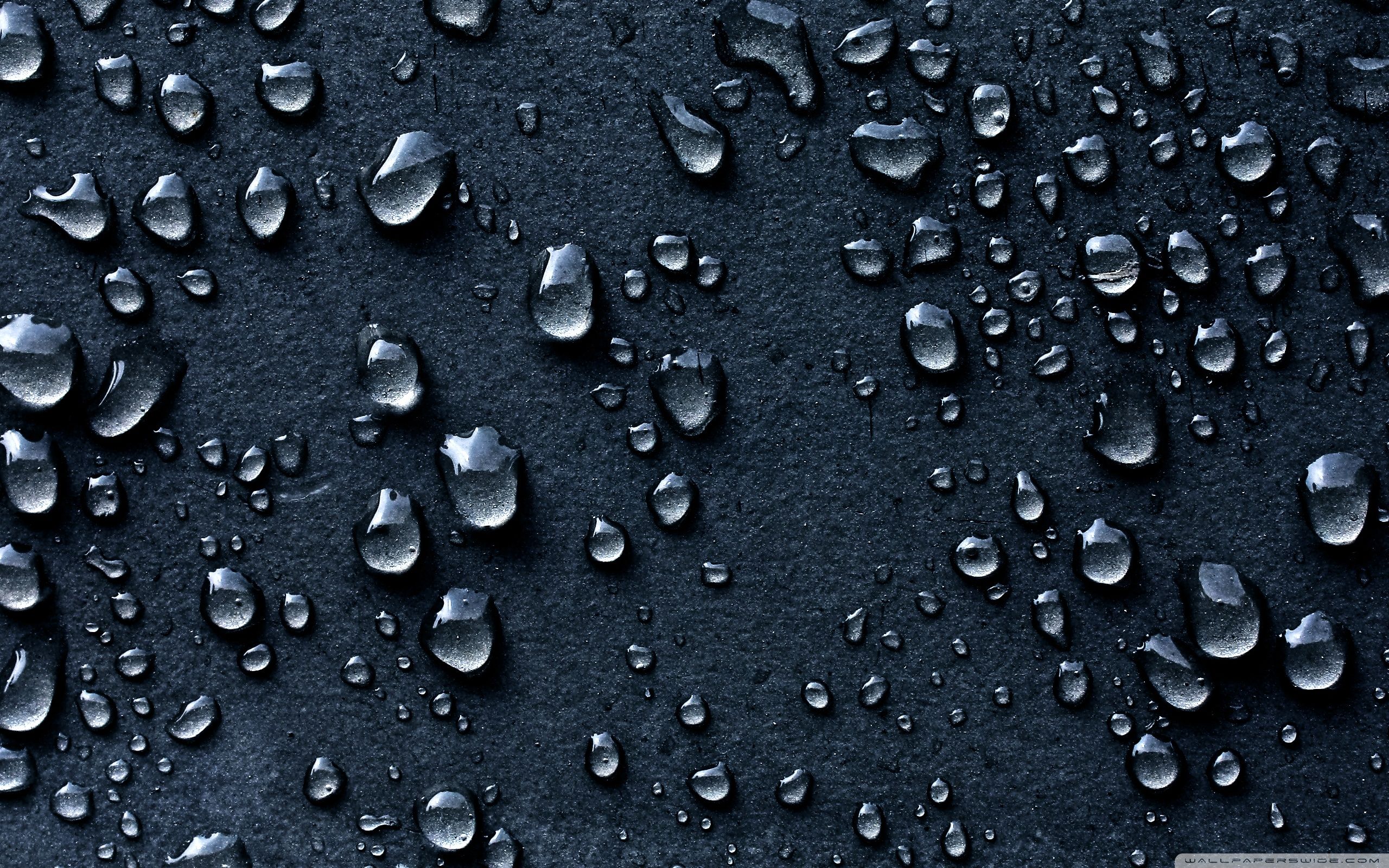 Water Droplets Wallpaper 3 X 1600