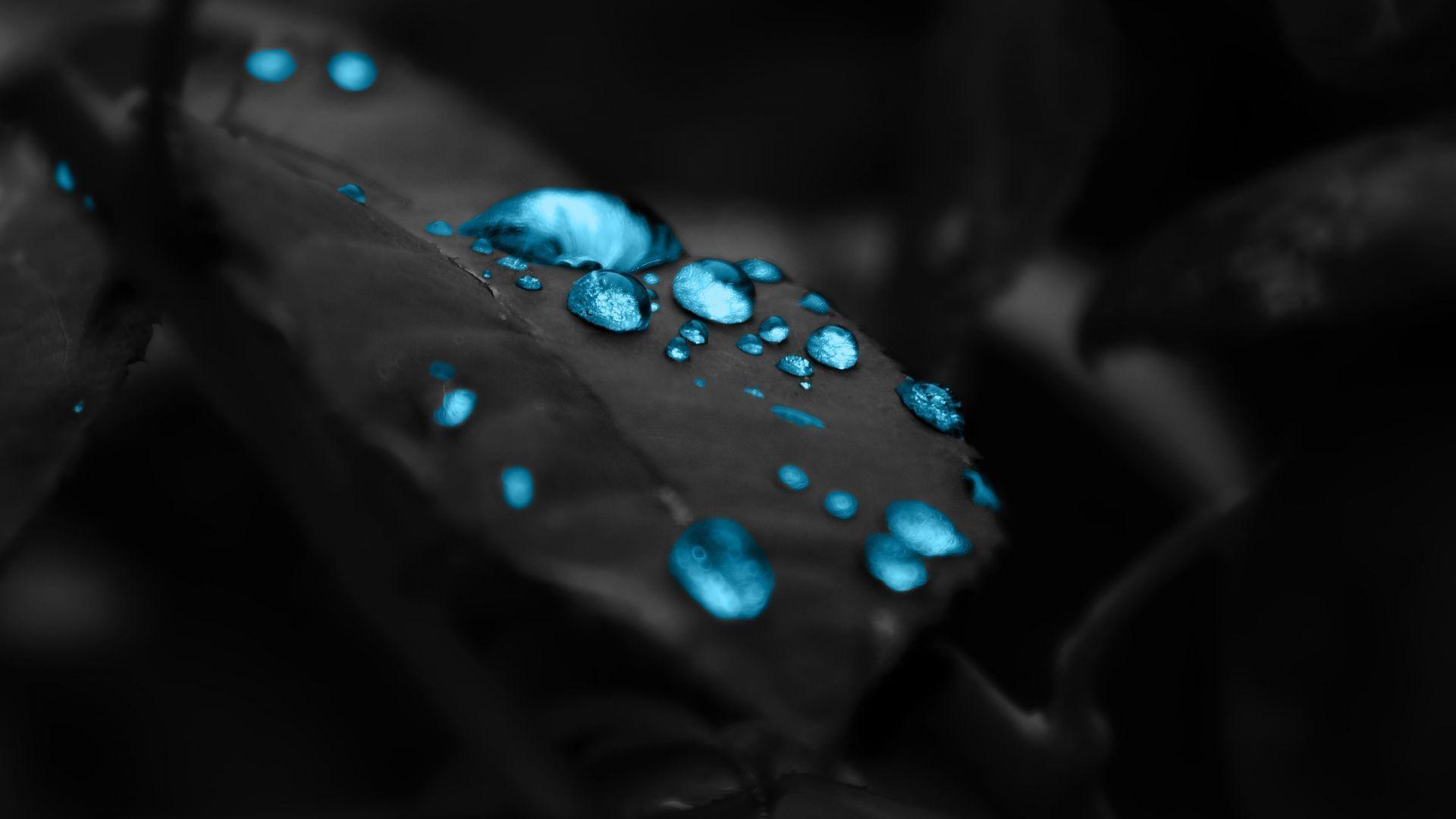 Blue Effect Leaf Water Drop Wallpaper HD Wallpaper. Random