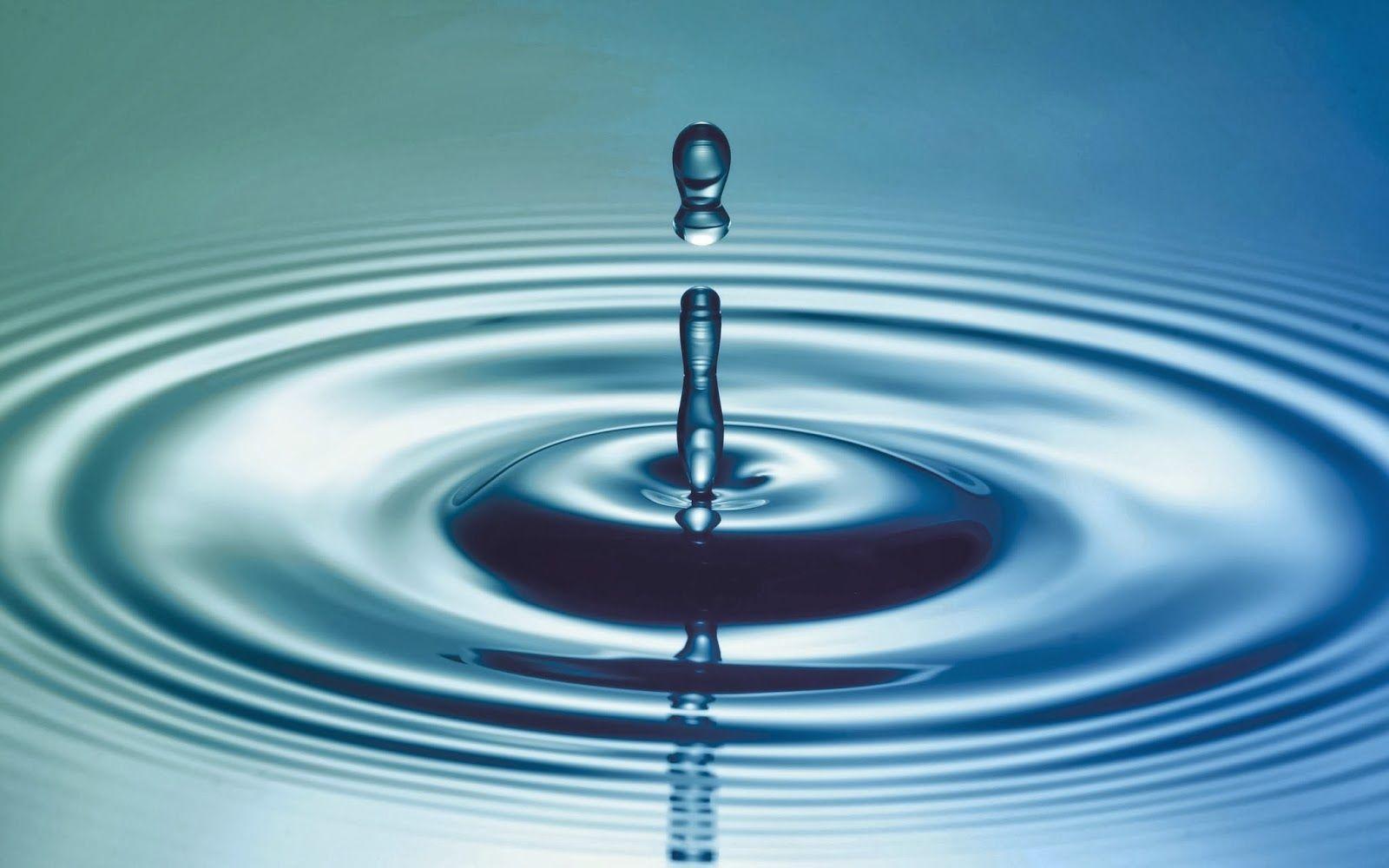 Water Droplets Wallpaper 16 X 1000