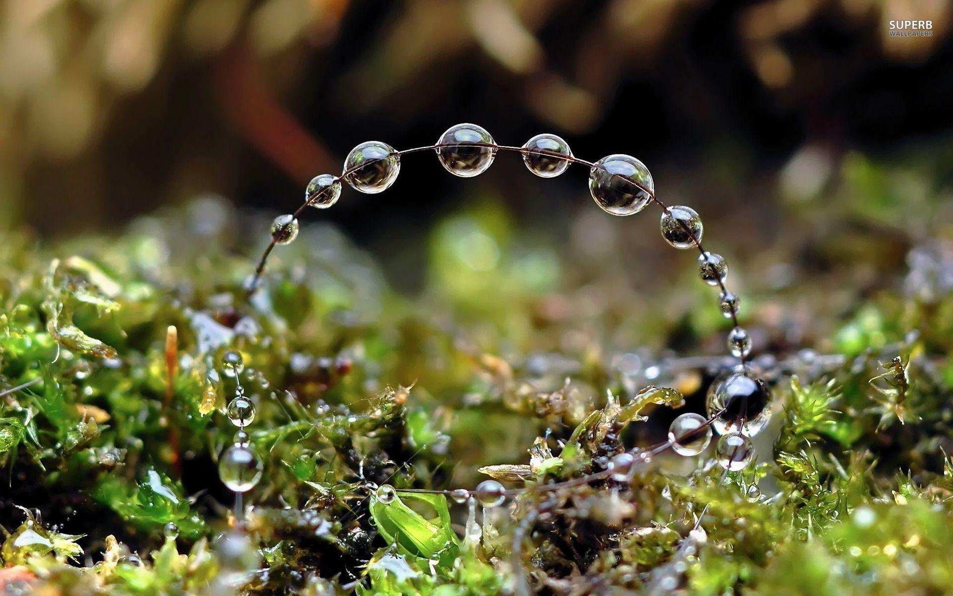 Water Droplets Wallpapers - Wallpaper Cave