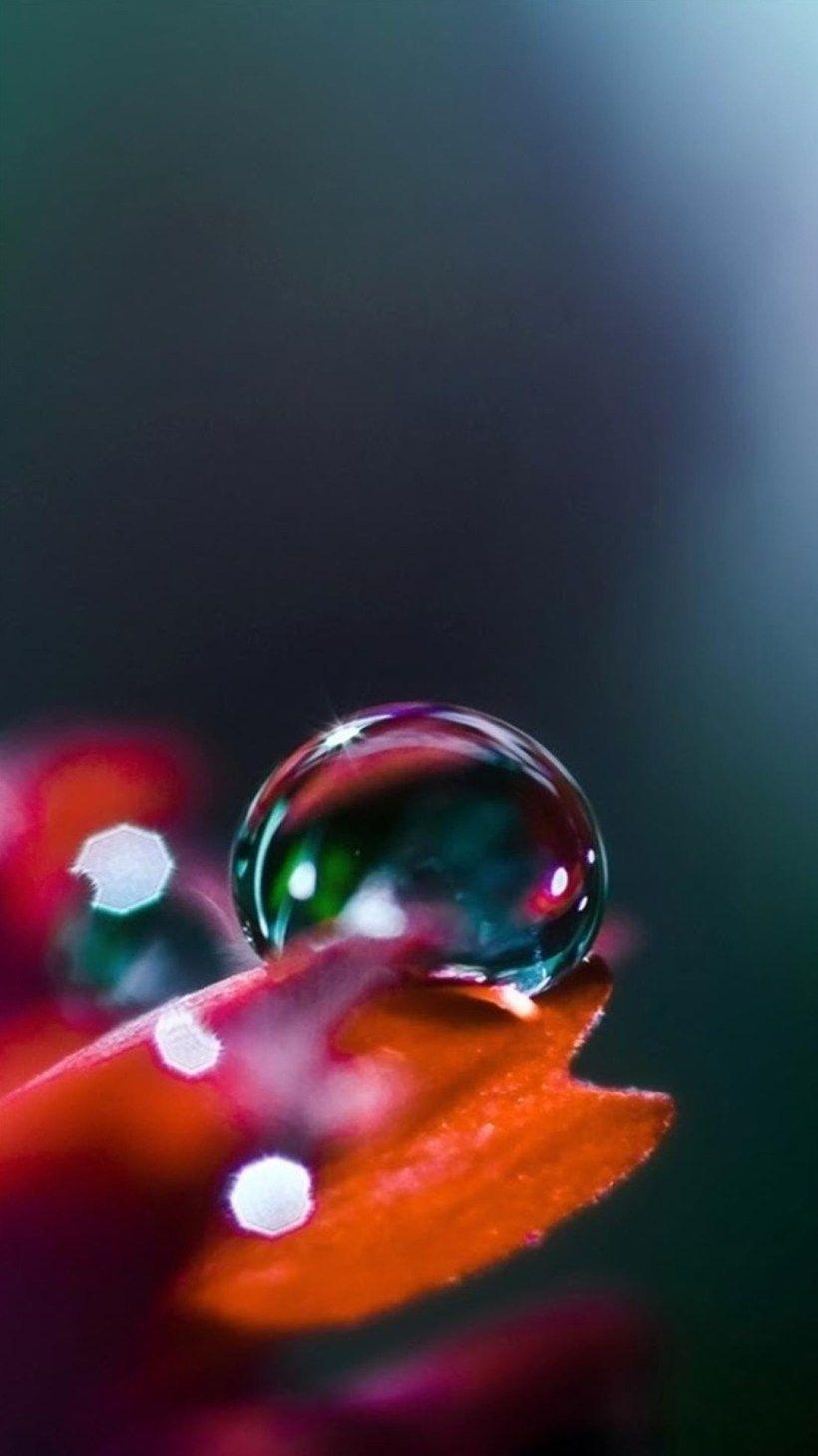 Water Droplets HD Wallpaper For Mobile