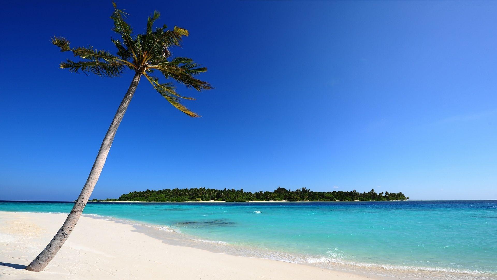 Elegant Free Caribbean Beach Wallpaper