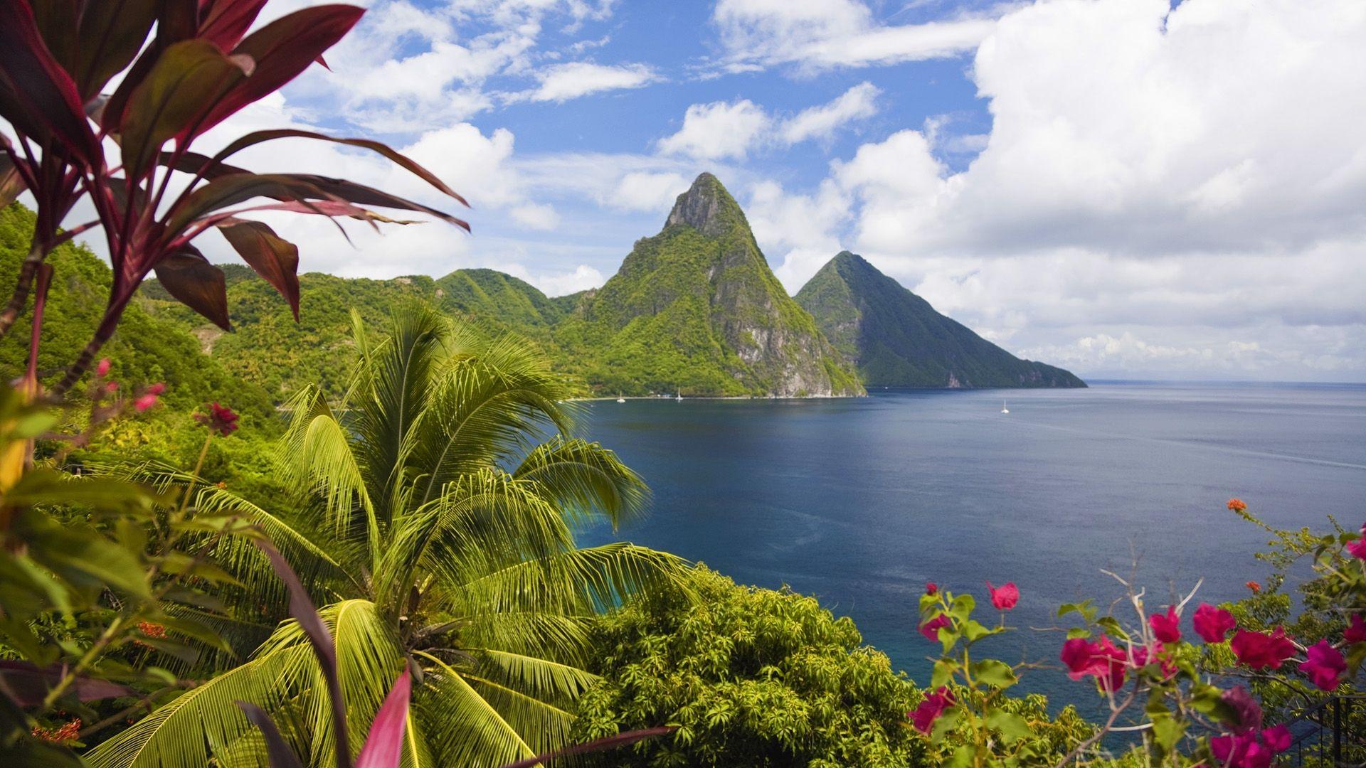Download Wallpaper 1920x1080 caribbean, ocean, palm trees, peaks
