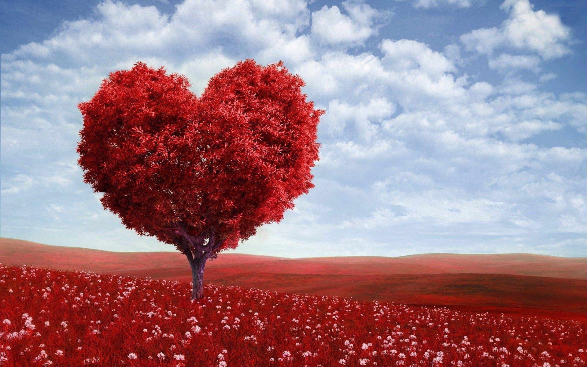 Valentine Love Tree Computer Desktop Wallpaper