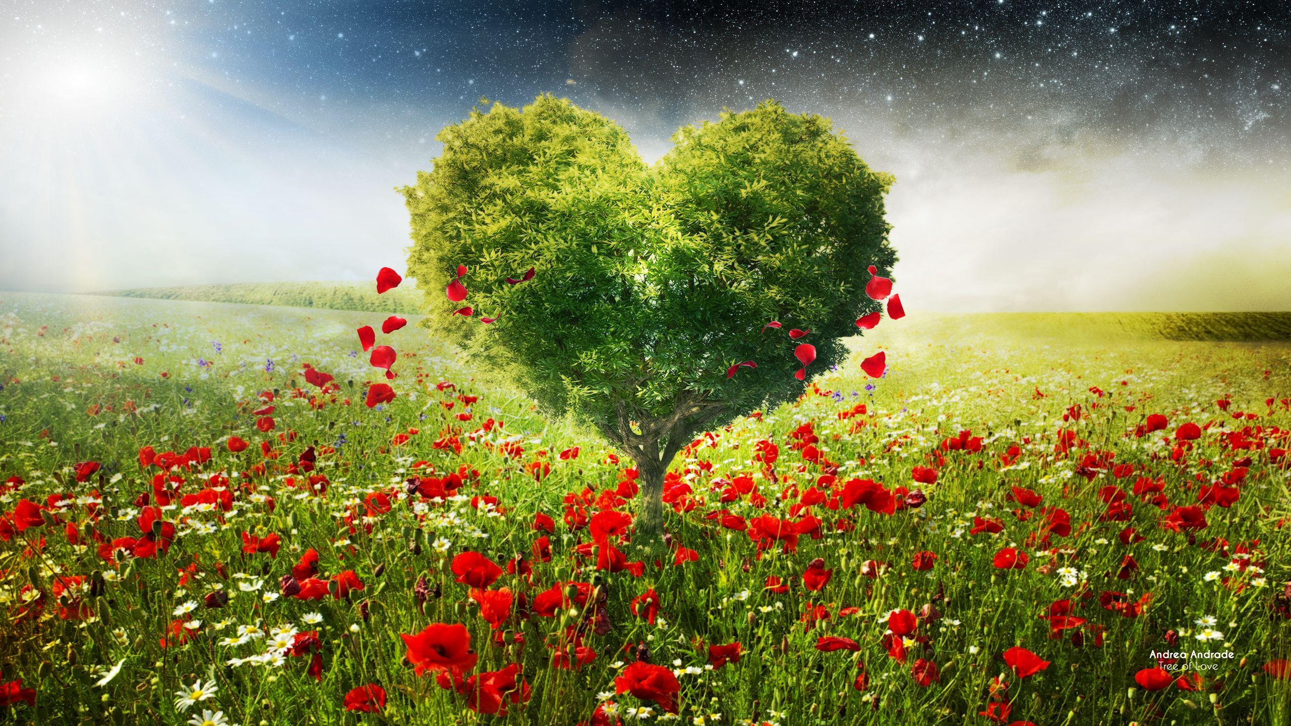 Wallpaper Green Tree, Love Heart, Petals, Poppies, Heaven, HD, Love