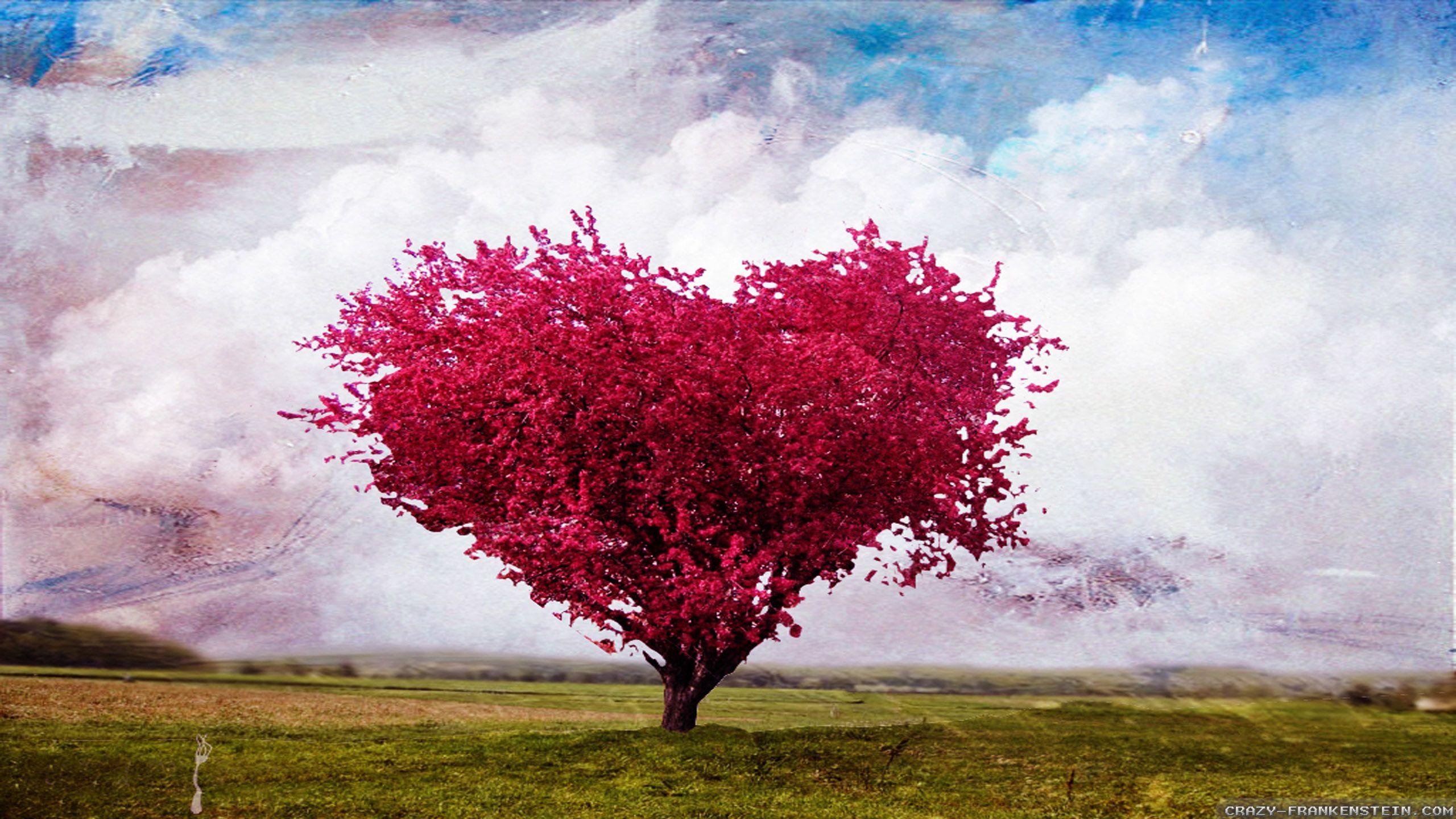 Love Tree Wallpapers - Wallpaper Cave
