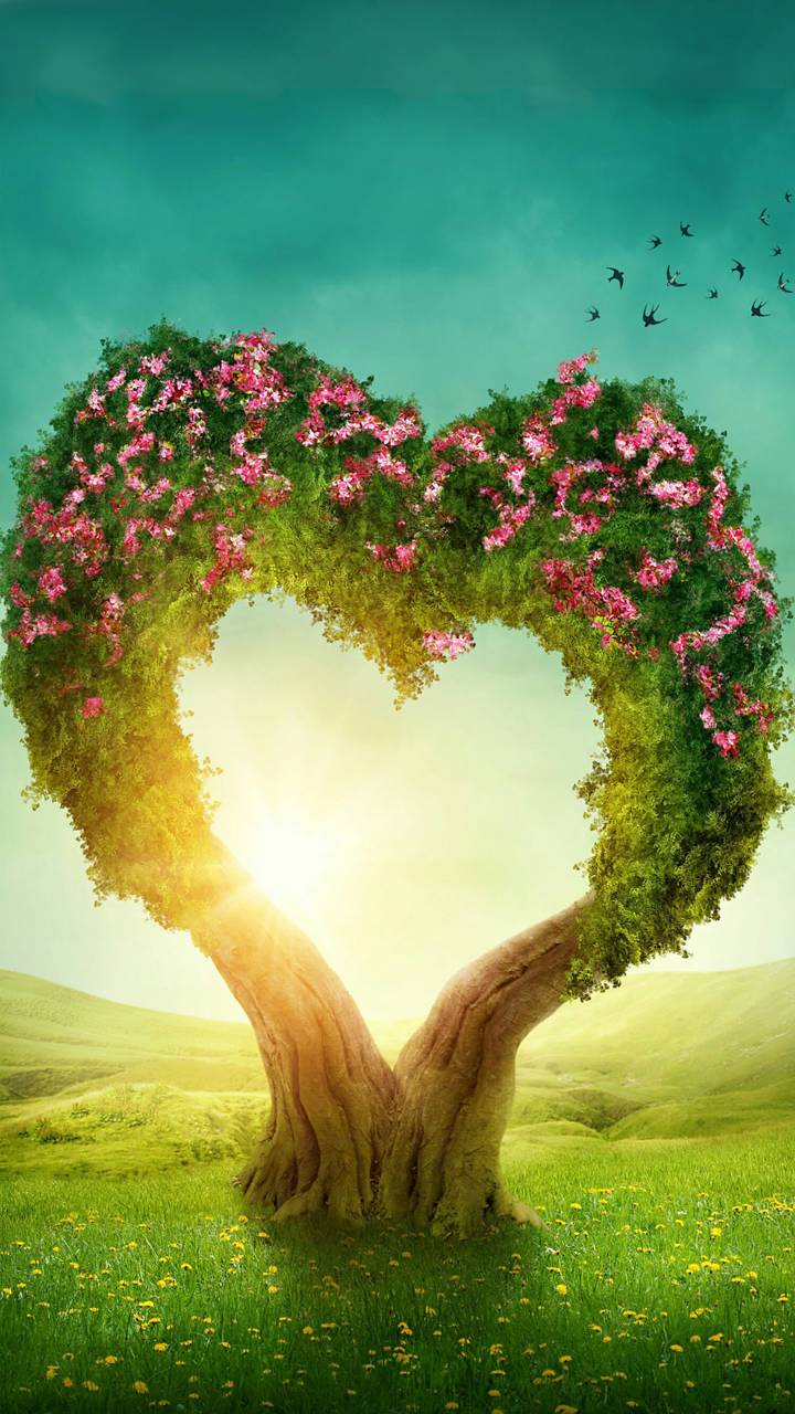love tree Wallpaper