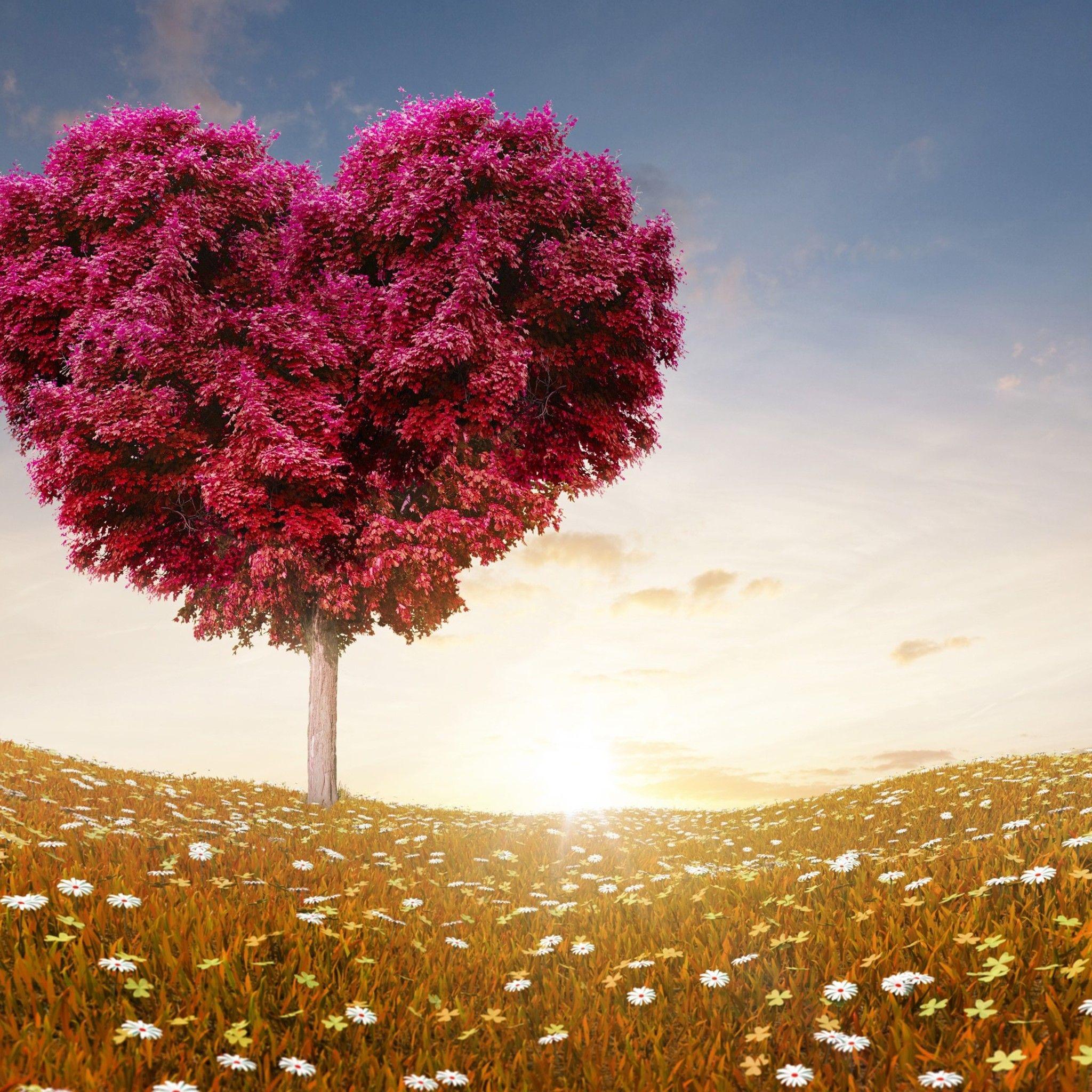 Love Heart Tree iPad Air HD 4k Wallpaper, Image