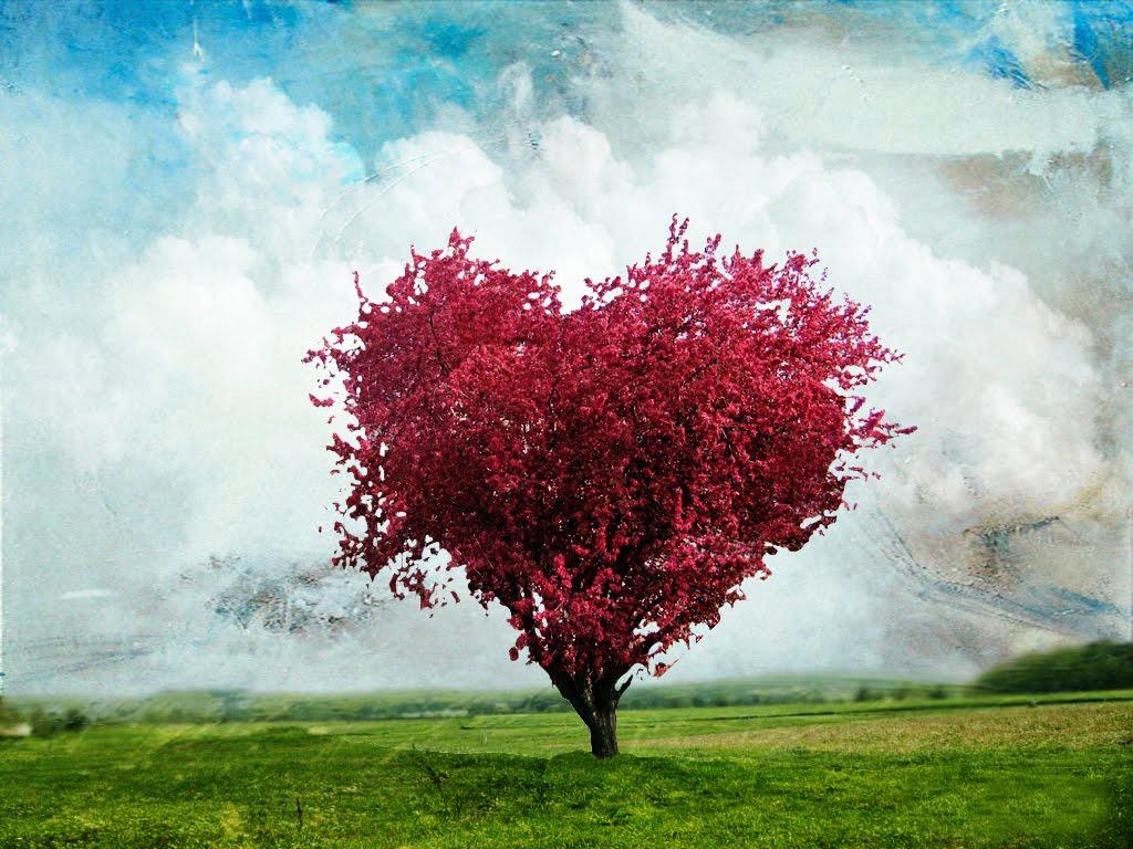 Love Tree wallpaper