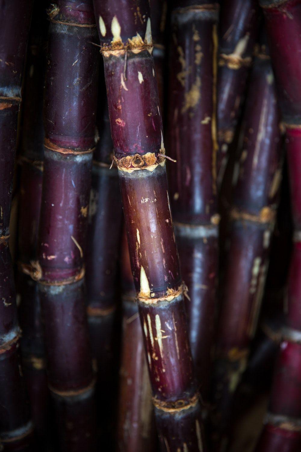 Wallpaper, purple and sugarcane HD photo
