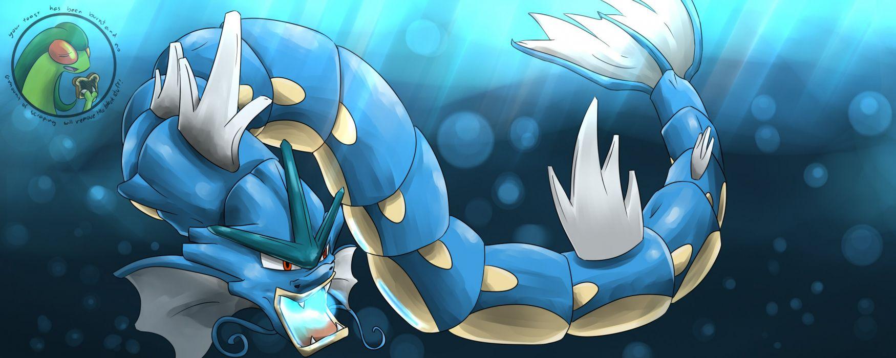 Pokemon dragons Gyarados wallpaperx1024